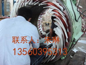 發(fā)電機維修 發(fā)電機保養(yǎng) 直流電機維修 保養(yǎng)規(guī)格型號及價格 電機維修 電機保養(yǎng) 發(fā)電機維修 發(fā)電機保養(yǎng)