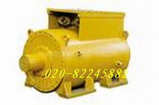 直流電機(jī)維修,發(fā)電機(jī)維修,大同電機(jī)維修,伺服電機(jī)維修,abb電機(jī)維修 廣州市黃埔區(qū)南洋電機(jī)維修中心