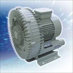 陸揚(yáng)鼓風(fēng)機(jī)維修與昆山電機(jī)維修廠的直流電機(jī)維修服務(wù)